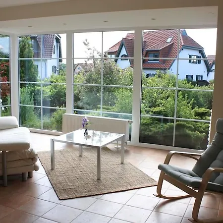 Sandregenpfeifer Dassow