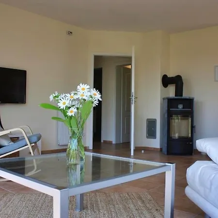 Sandregenpfeifer Dassow