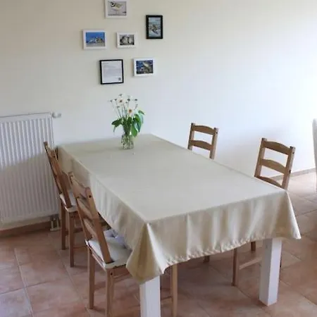 Sandregenpfeifer *