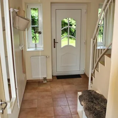 Sandregenpfeifer Dassow