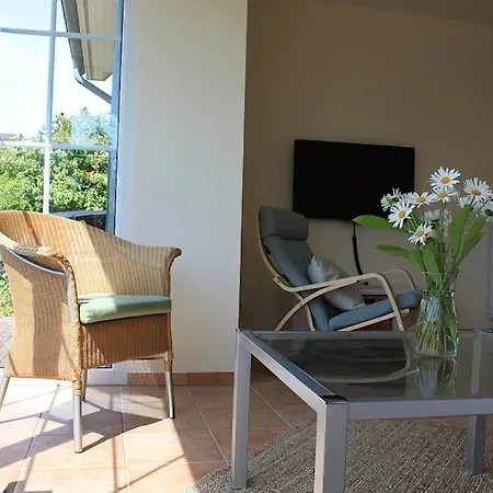 Sandregenpfeifer * Dassow