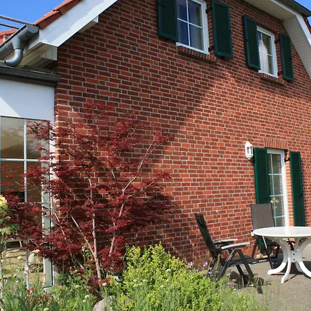 Sandregenpfeifer Dassow