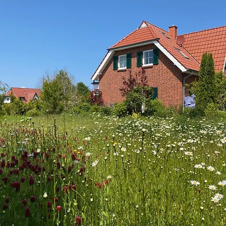 Sandregenpfeifer Mit Kamin, Grossem Garten & Nahe Ostsee