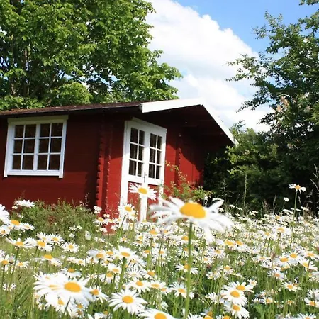 Sandregenpfeifer Mit Kamin, Grossem Garten & Nahe Ostsee *