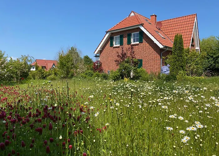 Sandregenpfeifer Mit Kamin, Grossem Garten & Nahe Ostsee