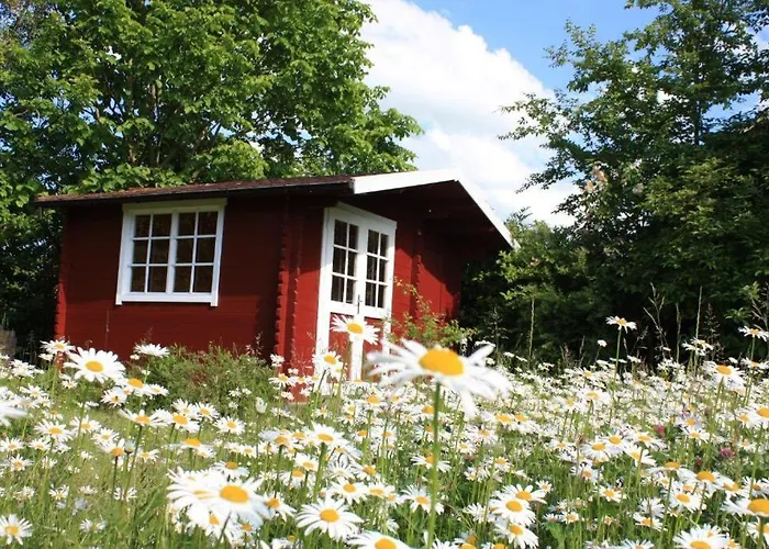 Sandregenpfeifer Mit Kamin, Grossem Garten & Nahe Ostsee *